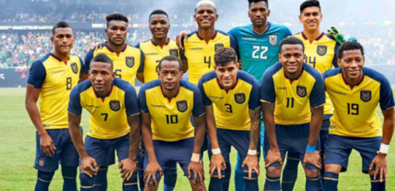 厄瓜多尔国家队世界杯预测,厄瓜多尔世界杯,古斯塔沃·阿尔法罗,辛卡皮,南美洲