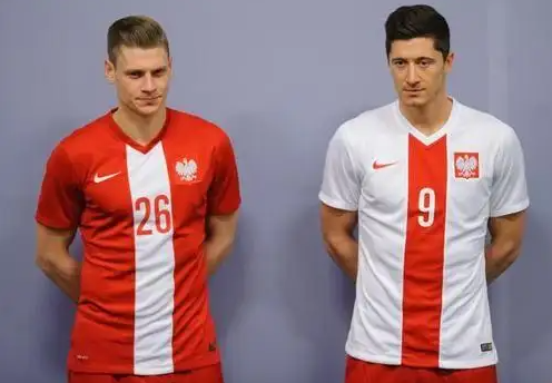 波兰足球队,波兰世界杯,布克萨,贝德纳雷克,伏尔加格勒