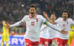 波兰队实力大涨，世界杯比赛上冲击大力神杯
