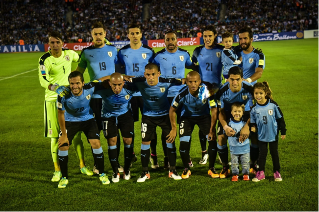 乌拉圭国家队世界杯名单,乌拉圭世界杯,乌拉圭国家队,霍尔,球队