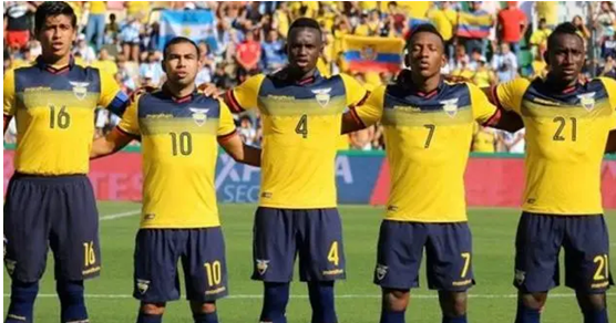 厄瓜多尔足球队,厄瓜多尔世界杯,阿尔法罗,恩纳瓦伦西亚,埃斯图皮尼安