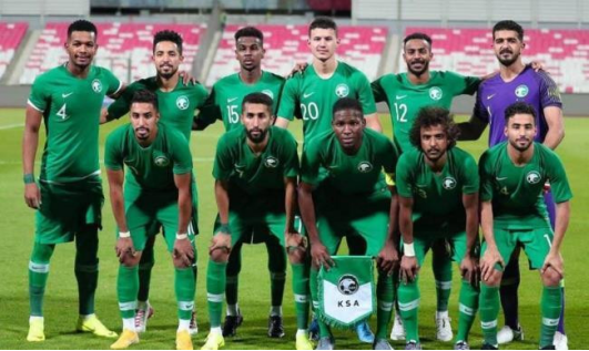 沙特阿拉伯国家队球迷,沙特阿拉伯世界杯,沙特阿拉伯国家队,世界杯比赛,德森,艰难