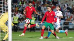 塞尔维亚足球队世界杯预选赛对阵葡萄牙双方阵容公布