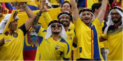 <b>厄瓜多尔队小组赛困难重重，世界杯能否带给我们惊喜？</b>
