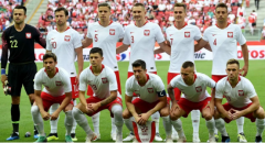 <b>波兰世界杯赛事预测精彩纷呈世界杯比赛中有机会冲击大力神杯</b>