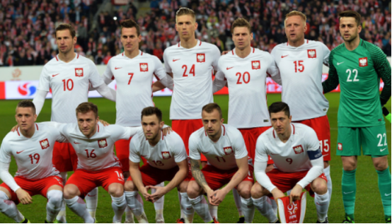 波兰世界杯赛事预测,波兰世界杯,莱万,泽林斯基,普瓦赫特