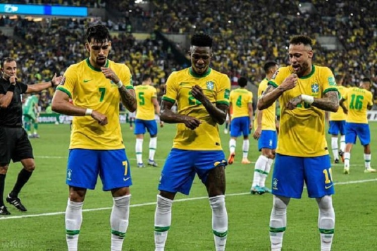 巴西世界杯赛事预测,巴西世界杯,强队,冠军,决赛