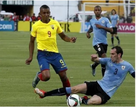 厄瓜多尔足球队直播,厄瓜多尔世界杯,死亡小组,荷兰队,塞内加尔队