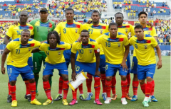 <b>厄瓜多尔国家足球队世界杯预测出线机率，世界杯上球迷们呐喊</b>