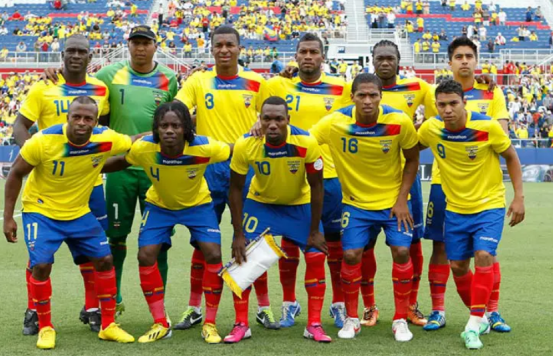 厄瓜多尔国家足球队世界杯预测,厄瓜多尔世界杯,卡塔尔,荷兰,塞内加尔