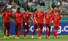 塞尔维亚世界杯前瞻预测分析整体实力，在世界杯赛场上栩栩如生