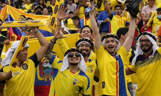 厄瓜多尔队,厄瓜多尔世界杯,名单,入场券,足坛