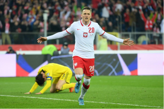波兰国家队,波兰世界杯,光彩,入围,期待