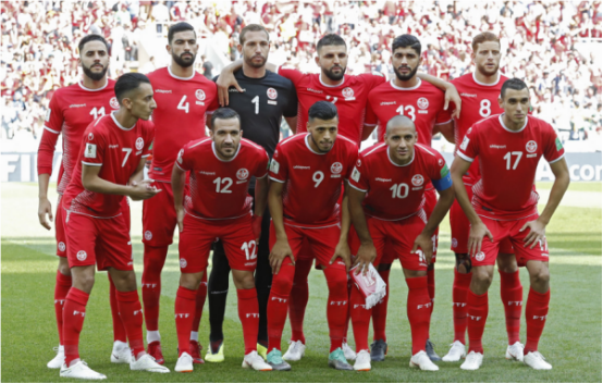 突尼斯队,突尼斯世界杯,稳定,精神,资格