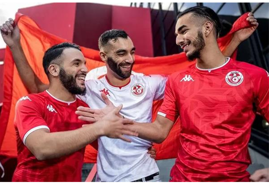突尼斯队,突尼斯世界杯,稳定,精神,资格