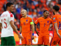 <b>荷兰国家队世界杯前瞻，荷兰队将成为冠军的有力争夺者</b>
