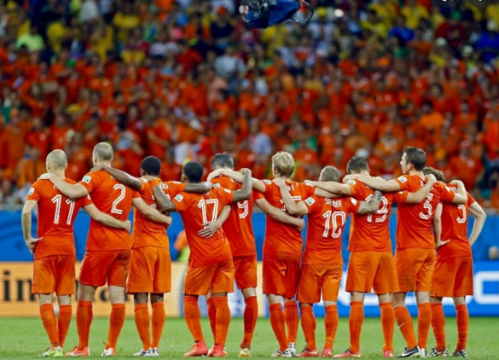 荷兰队比赛,赫尔,世界杯,赛季