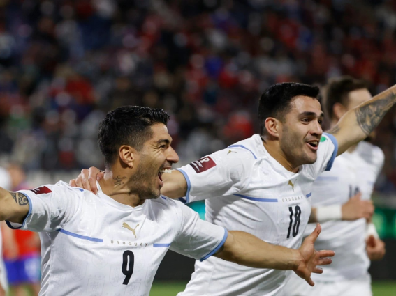 卡塔尔世界杯决赛预测乌拉圭国家足球队,世界杯,瓦伦西亚
