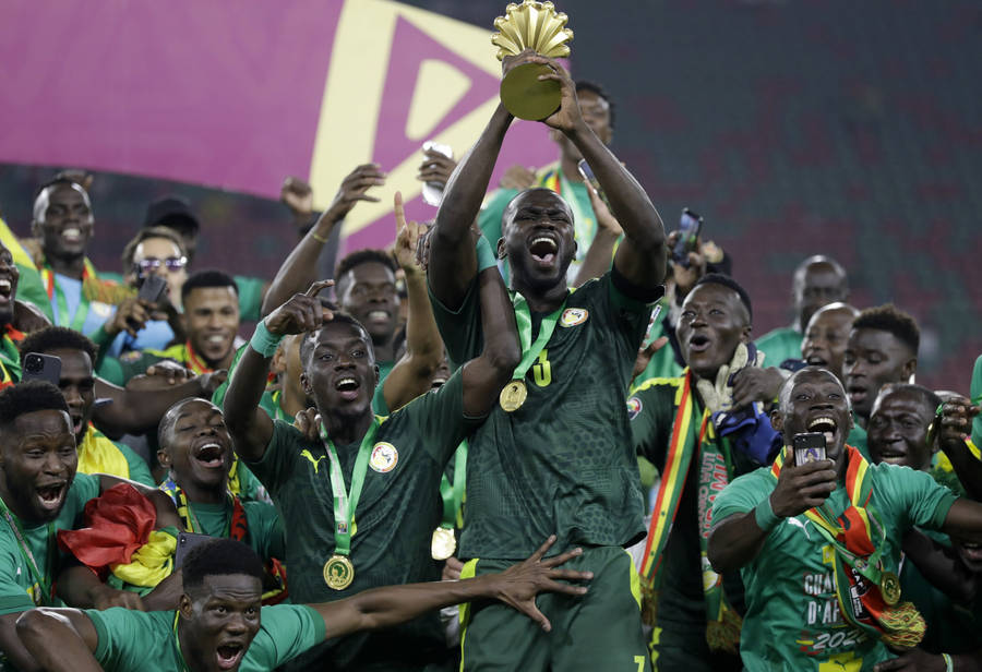 塞内加尔世界杯预测,塞内加尔世界杯,法甲联赛,塞内加尔赛事,世界杯冠军