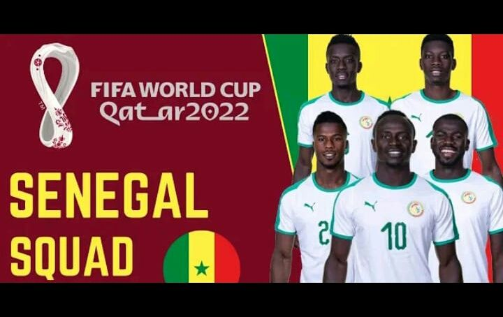 塞内加尔队赛程表2022世界杯,世界杯,英格兰,莱斯特,贾斯汀