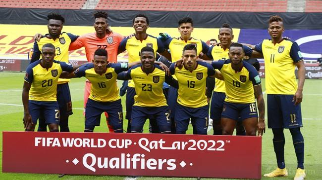 卡塔尔世界杯决赛预测厄瓜多尔国家队,厄瓜多尔世界杯,科维奇,国足