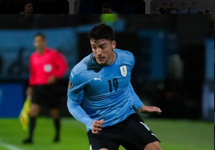 乌拉圭VS韩国预测实力,乌拉圭世界杯,韩国,H组,死亡之组