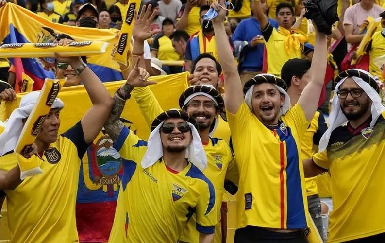 厄瓜多尔队世界杯小组赛出局球员跪地痛哭