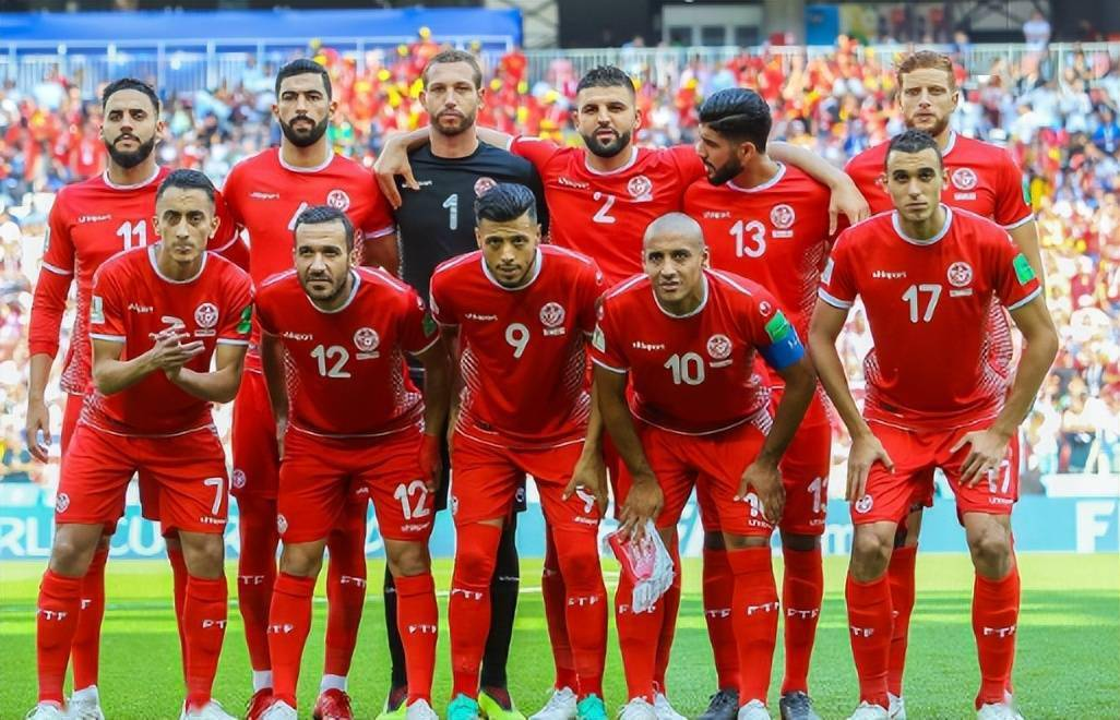 突尼斯国家男子足球队,突尼斯世界杯,小组,出线,法国队