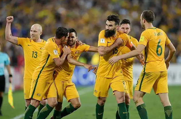 澳大利亚国家男子足球队,澳大利亚队,16年,晋级,袋鼠军团