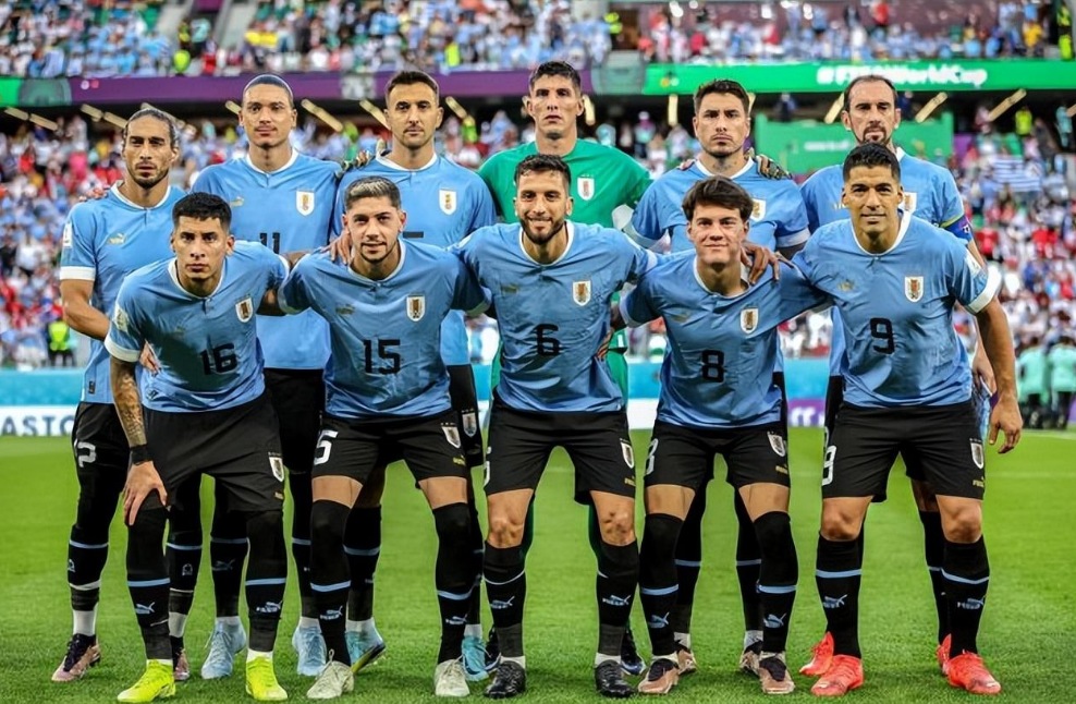 乌拉圭世界杯赛程,乌拉圭队,韩国,首战,小组赛