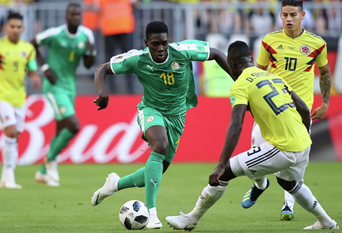 塞内加尔世界杯比分,塞内加尔世界杯,荷兰,诺珀特,厄瓜多尔