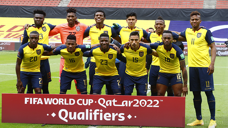 厄瓜多尔队世界杯竞猜谁能冲出重围，高原杀手期待新突破