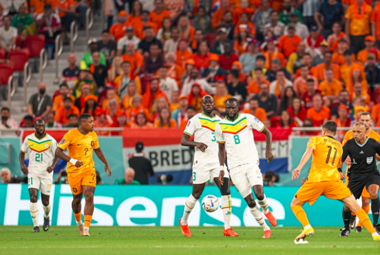 荷兰队,荷兰世界杯,橙衣军团,球迷,塞内加尔