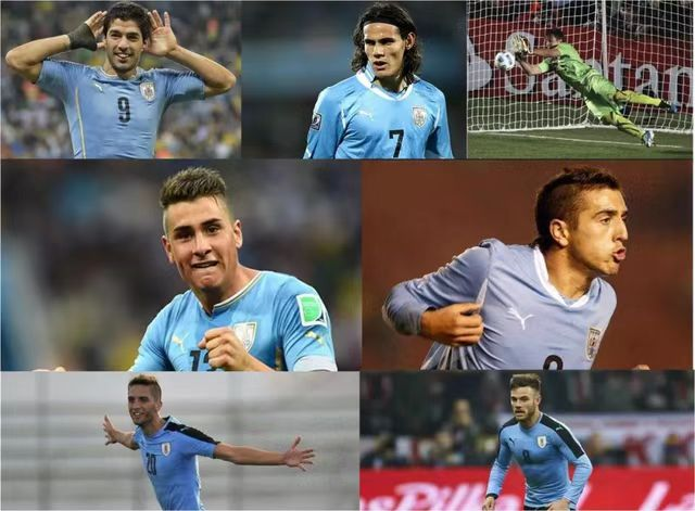 乌拉圭国家足球队,乌拉圭世界杯,阵容,门将,四强