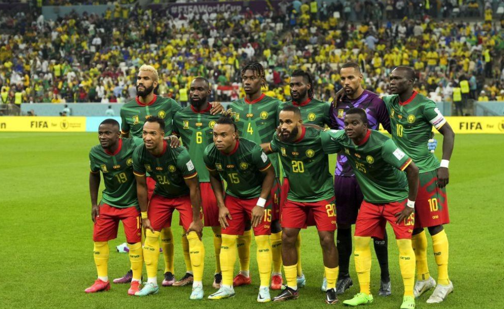 喀麦隆世界杯比分,喀麦隆队,塞尔维亚队,巴索,戈进球