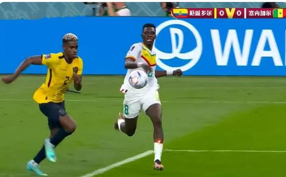 塞内加尔在线直播免费观看,塞内加尔世界杯,厄瓜多尔,小组赛,淘汰赛