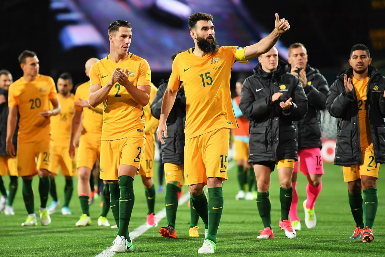 澳大利亚国家男子足球队视频直播,澳大利亚世界杯,亚足联,出线,16强